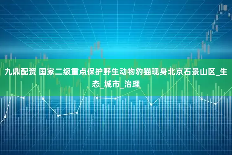 九鼎配资 国家二级重点保护野生动物豹猫现身北京石景山区_生态_城市_治理