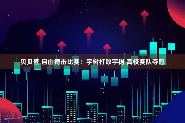 贝贝查 自由搏击比赛：宇树打败宇树 高校赛队夺冠